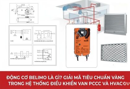 Động cơ Belimo là gì? Giải mã tiêu chuẩn vàng trong hệ thống điều khiển van PCCC và HVAC