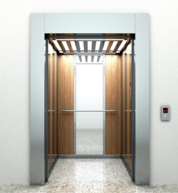 Cửa tầng thang máy E60 